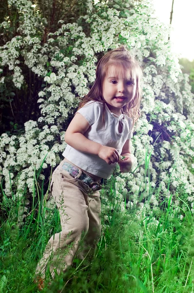 Маленькая девочка на заднем плане куст с белыми цветами — стоковое фото