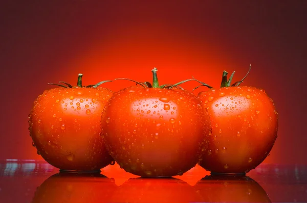 Drei saftige Tomaten auf rotem Hintergrund — Stockfoto