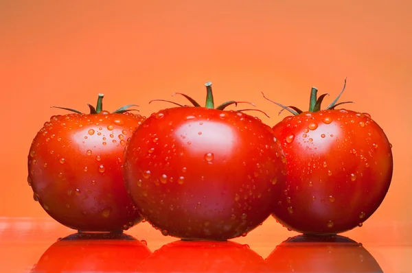 Trzy soczyste pomidory na pomarańczowym tle — Zdjęcie stockowe