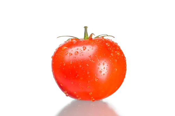 Tomato single with drops — Stock Photo, Image