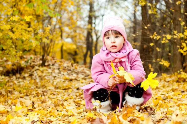 Милая детская прогулка в осеннем парке — стоковое фото
