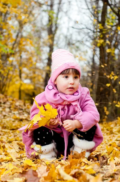 Słodkie dziecko spaceru w parku jesień — Zdjęcie stockowe