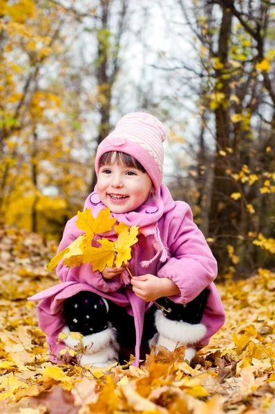 Şirin çocuk sonbahar parkta yürüyüş — Stok fotoğraf