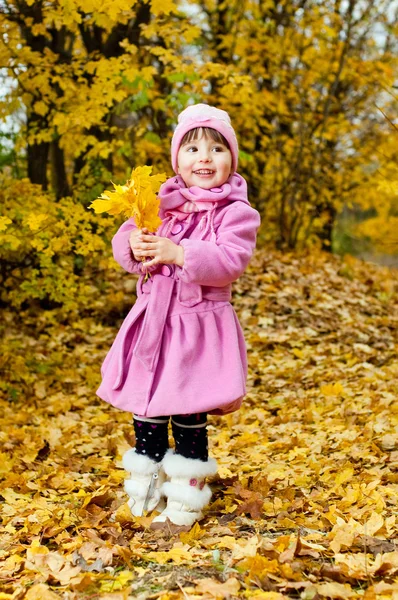 Симпатична дитина гуляє в осінньому парку — стокове фото