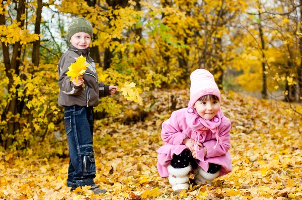 Kleine jongen en meisje spelen in een park in het najaar van — Stockfoto