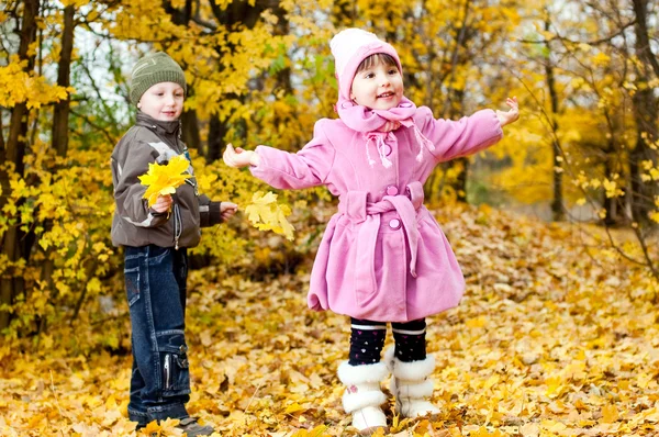 Mały chłopiec i dziewczynka Zagraj w parku w jesieni — Zdjęcie stockowe