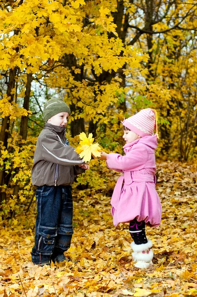Menino e menina brincam em um parque no outono — Fotografia de Stock