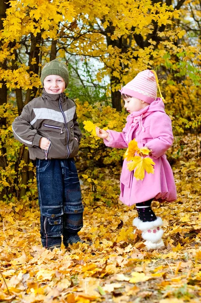 男の子と女の子の秋、公園で遊ぶ — ストック写真