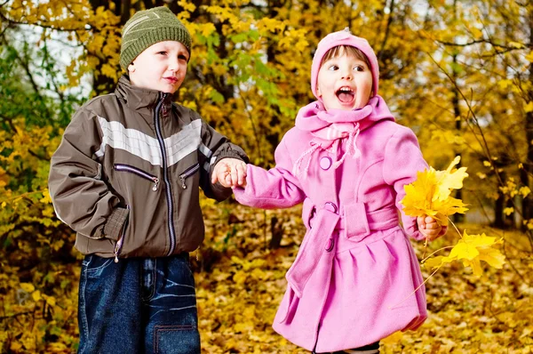 Mały chłopiec i dziewczynka Zagraj w parku w jesieni — Zdjęcie stockowe