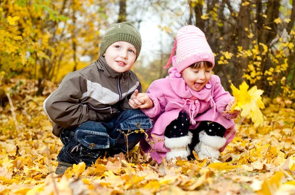 Маленький мальчик и девочка играют в парке осенью — стоковое фото
