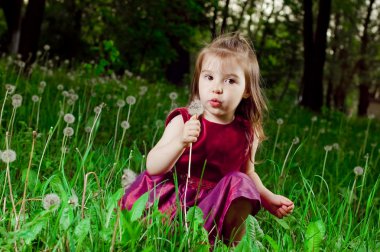 dandelions bir çim üzerinde güzel küçük bir kız