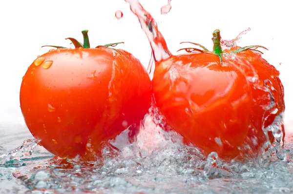 Dva rajčat a vody — Stock fotografie