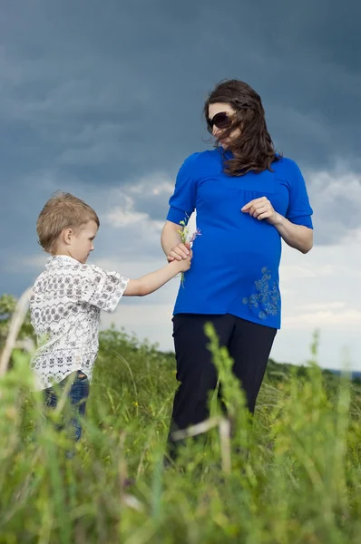 Little boy is a daryl a pregnant mother the field flowers — Stock Photo, Image
