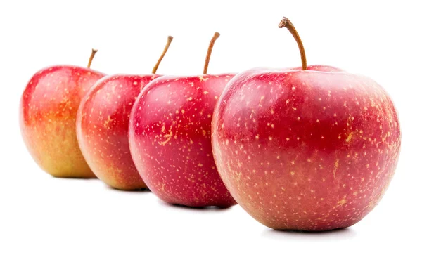 Vier rode appel geïsoleerd gelegen trapsgewijs op wit — Stockfoto