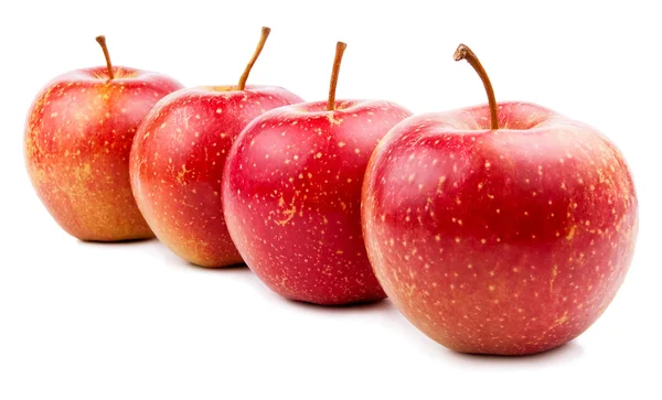 Four Red Apple Isolated Located cascade on White — Stock Photo, Image