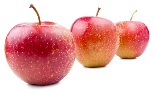 Tre rött äpple isolerade ligger cascade på vit — Stockfoto