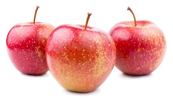 Tre rött äpple isolerad på vit — Stockfoto