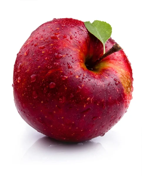 Uma maçã vermelha suculenta com folhas e gotas de água — Fotografia de Stock