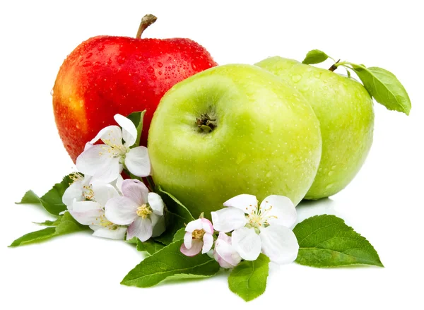 Dos manzanas verdes y manzanas rojas con flores, hojas y gota de agua —  Fotos de Stock