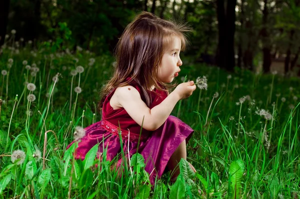 Menina bonita em um gramado com dentes de leão — Fotografia de Stock