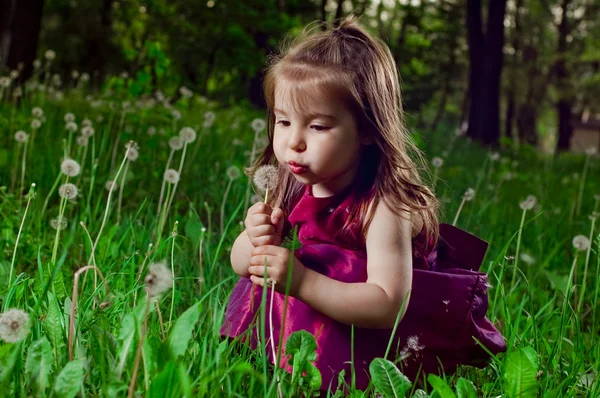 Dandelions bir çim üzerinde güzel küçük bir kız — Stok fotoğraf