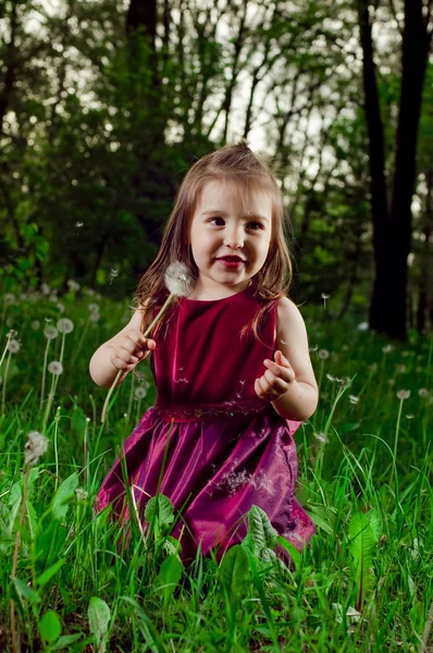 漂亮的小女孩与蒲公英的草坪上 — 图库照片