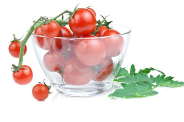 Branch of cherry tomato salad bowl with leaves in isolated white clipart