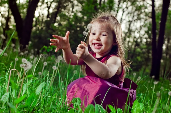 Красивая маленькая девочка на лужайке с одуванчиками — стоковое фото