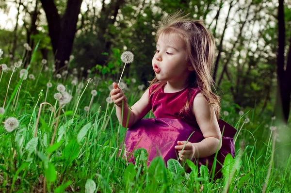 漂亮的小女孩与蒲公英的草坪上 — 图库照片