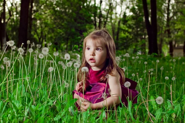 Dandelions bir çim üzerinde güzel küçük bir kız — Stok fotoğraf
