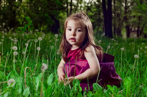 Mooi meisje op een grasveld met paardebloemen — Stockfoto