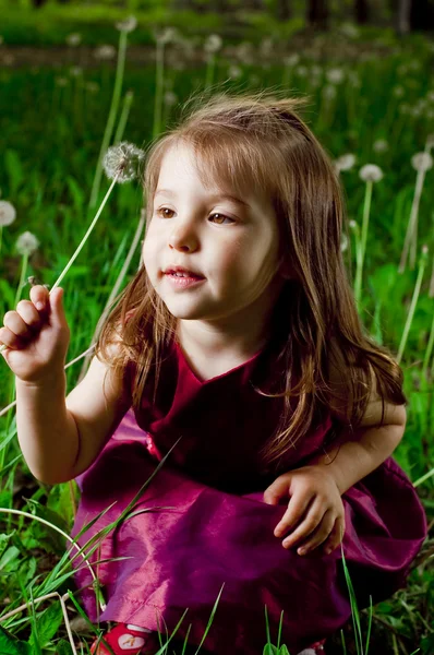 Krásná holčička na trávníku s pampelišky — Stock fotografie