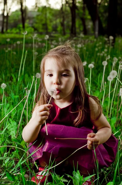Krásná holčička na trávníku s pampelišky — Stock fotografie