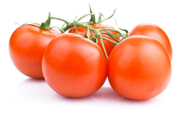 Beyaz arka plan üzerinde izole taze domates — Stok fotoğraf