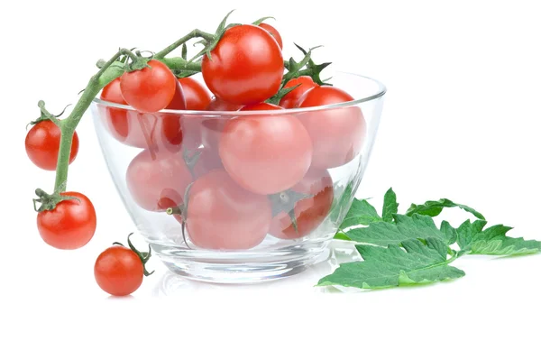 Ramo de tigela de salada de tomate cereja com folhas em branco isolado — Fotografia de Stock