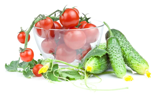 Tomates cherry en ensaladera con flores y hojas de pepino —  Fotos de Stock
