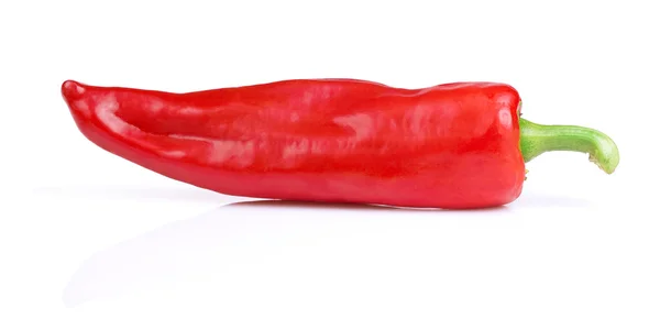 Roter Paprika isoliert auf weißem Hintergrund — Stockfoto