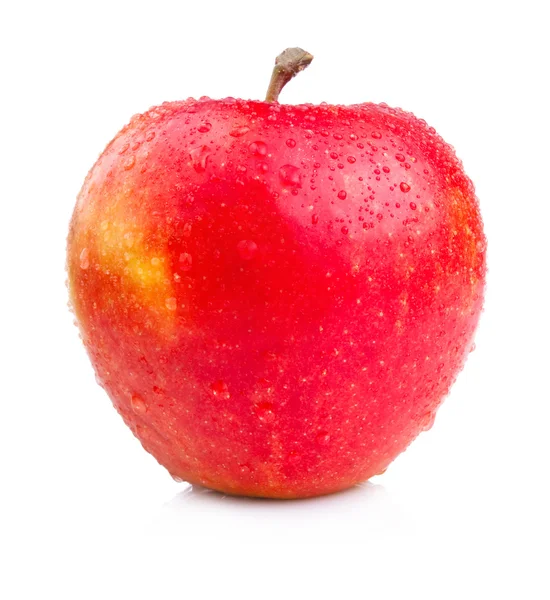 Одно сочное мокрое красное яблоко на белом фоне — стоковое фото