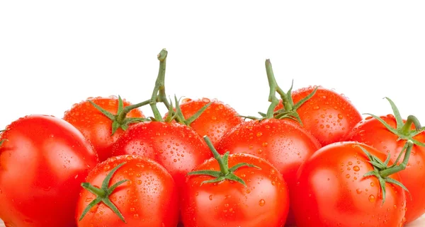 흰 배경에 분리 된 신선 한 토마토 — 스톡 사진