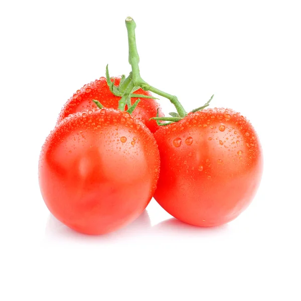 Trzy winorośli świeżych, soczystych pomidorów z kropelek wody na białym tle na wh — Zdjęcie stockowe