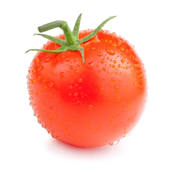 Ενιαία ζουμερή ντομάτα με σταγόνες απομονωθεί σε λευκό φόντο — Φωτογραφία Αρχείου