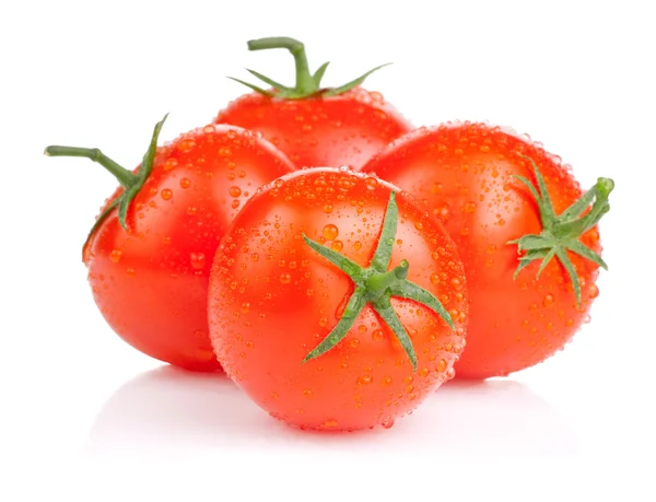 Quattro pomodori freschi succosi con goccioline d'acqua Isolati su ba bianca — Foto Stock