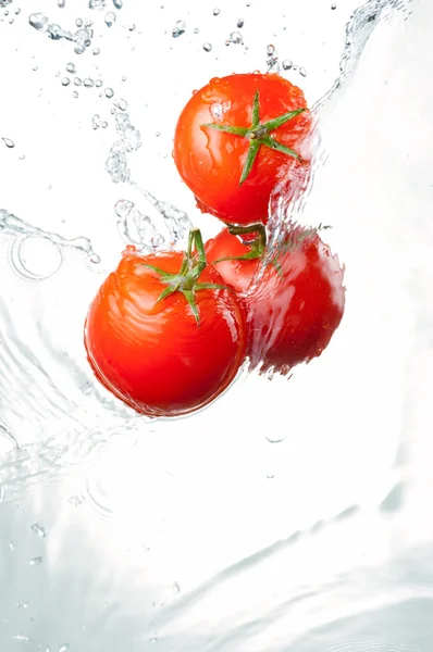 Tres tomates rojos frescos en salpicadura de agua aislados en ba blanca —  Fotos de Stock