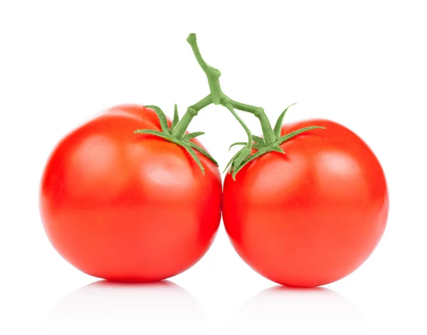 白い背景上に分離されて 2 つる新鮮でジューシーなトマト — ストック写真