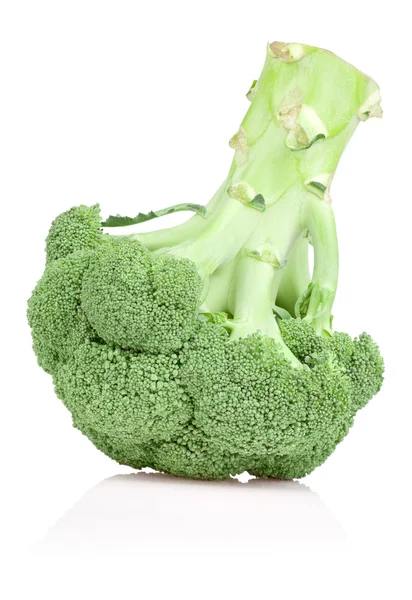 Isolamento fresco di broccoli su fondo bianco — Foto Stock