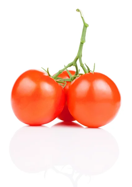 Beyaz arka plan üzerinde izole üç asma taze sulu domates — Stok fotoğraf