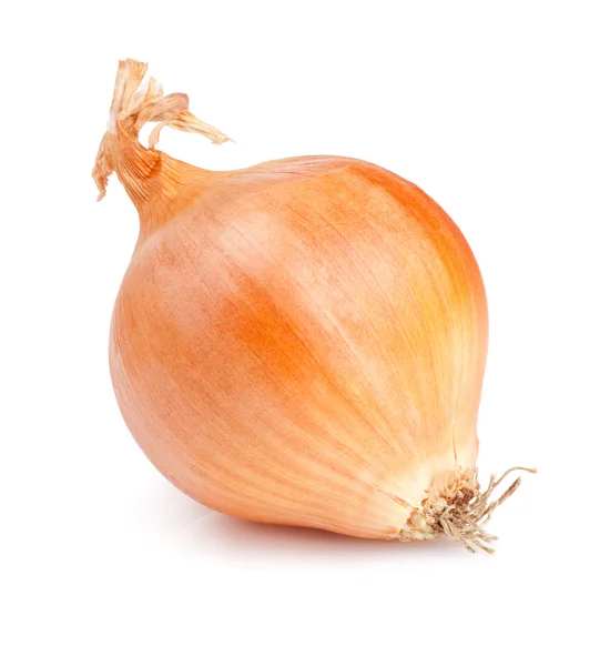 Fresh golden onions isolated on white background — Stock Photo, Image