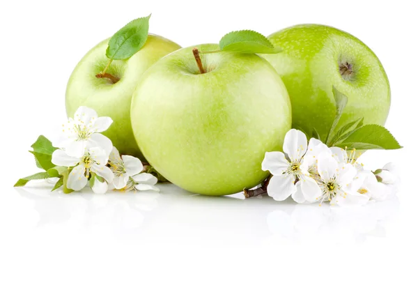 Drei grüne Äpfel mit Blättern und Blüten isoliert auf einem weißen Bac — Stockfoto