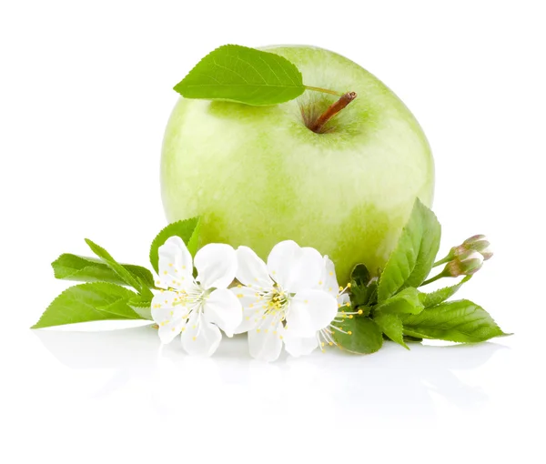 Única maçãs verdes com folha e flores isoladas em uma ba branca — Fotografia de Stock