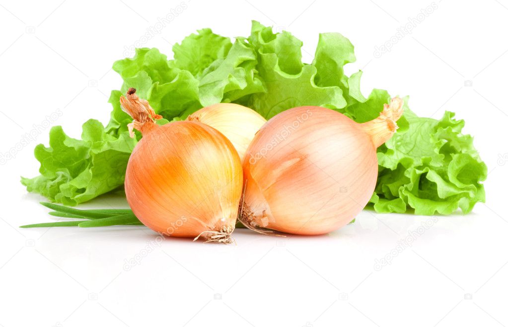 Bulbs of onion, Scallions and Fresh lettuce bunch isolated on a